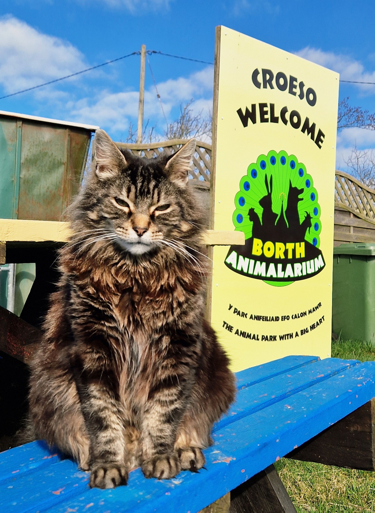 Borth Animalarium feature