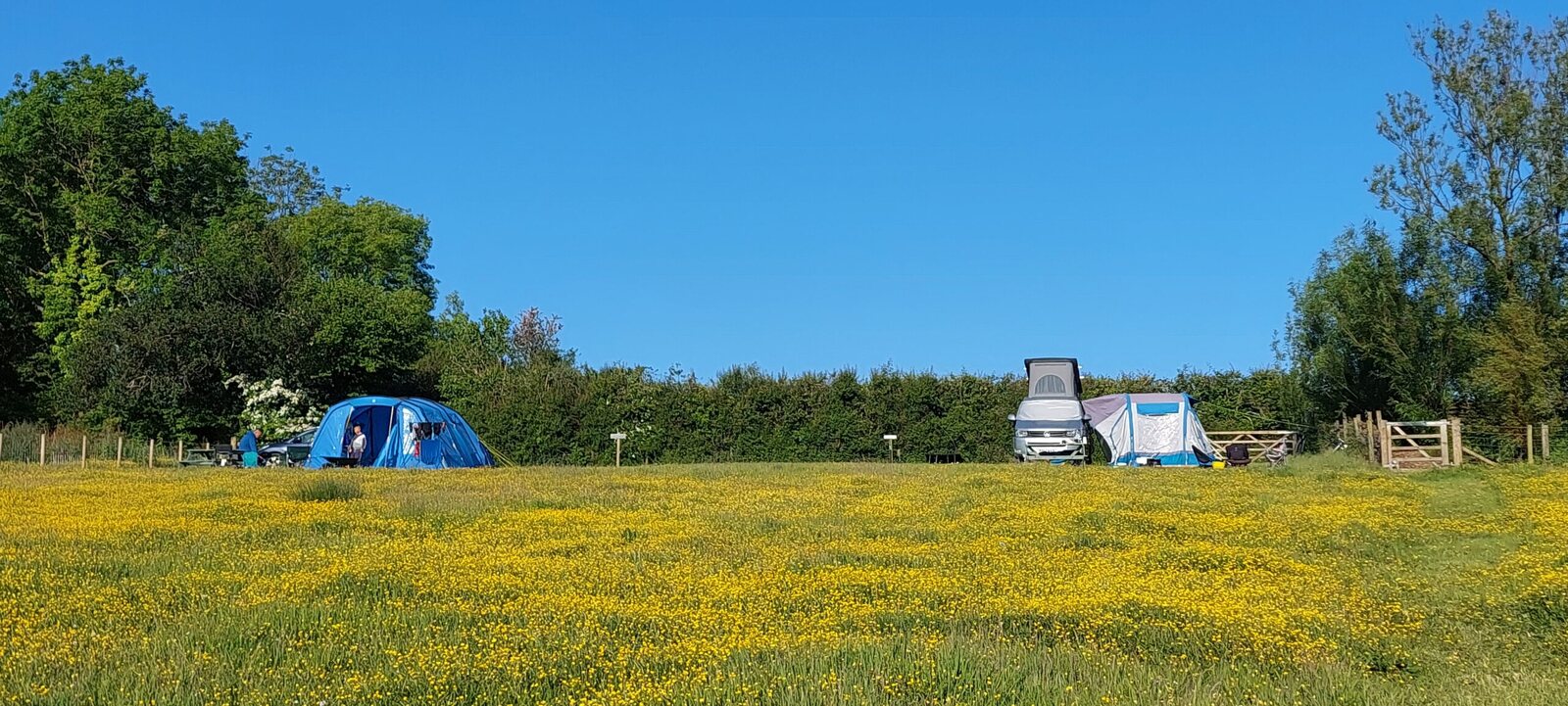 Green Sheep Camping feature
