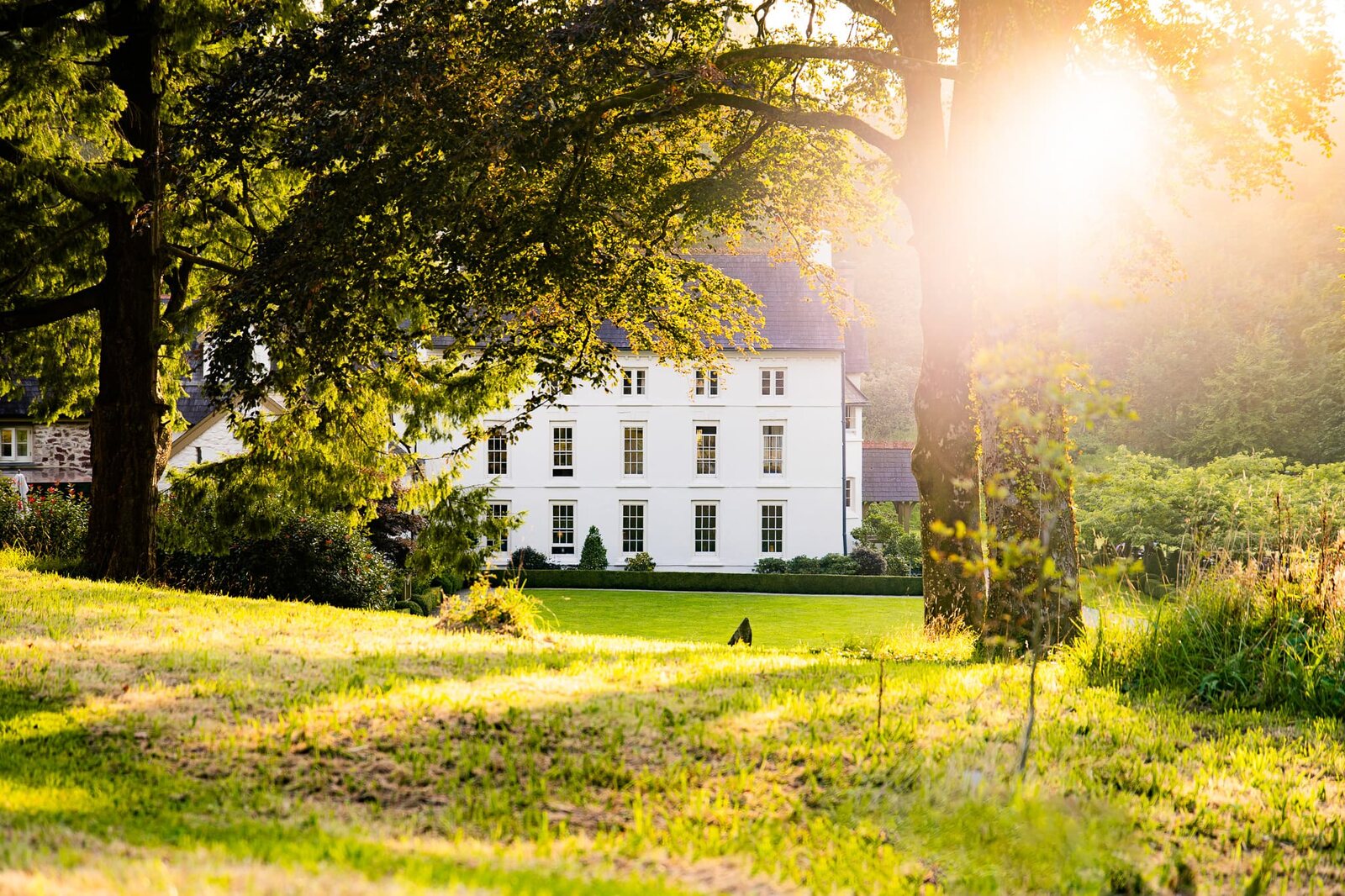 Grove of Narberth in Narberth
