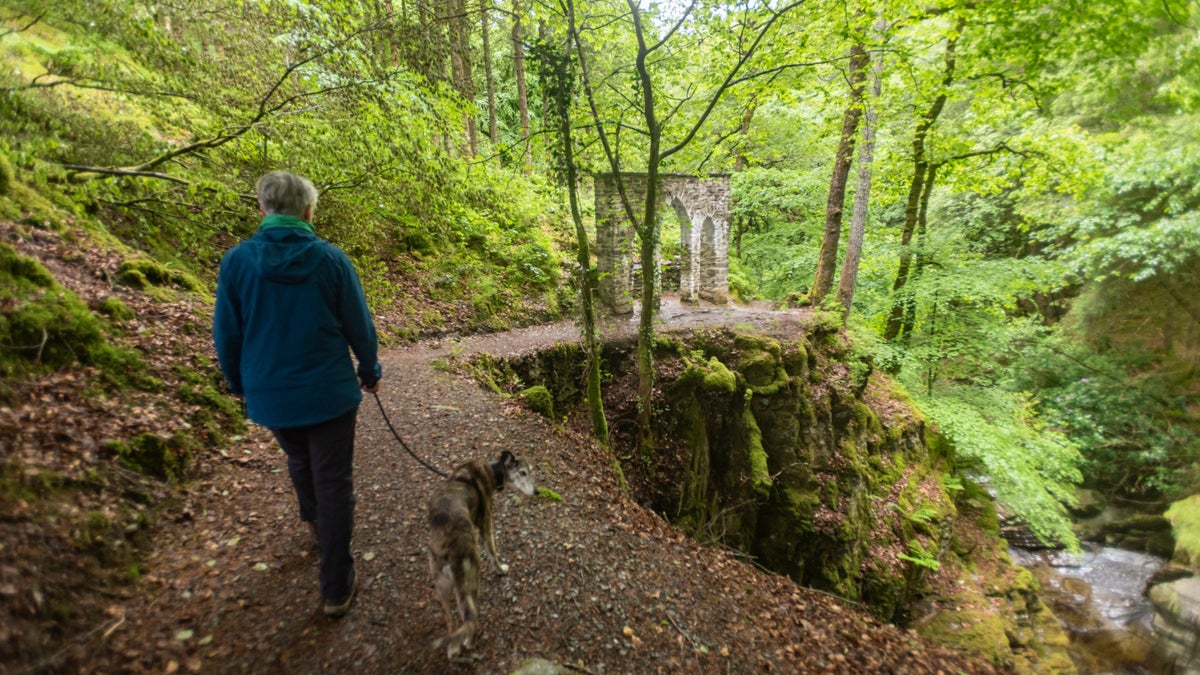 Hafod Estate hero