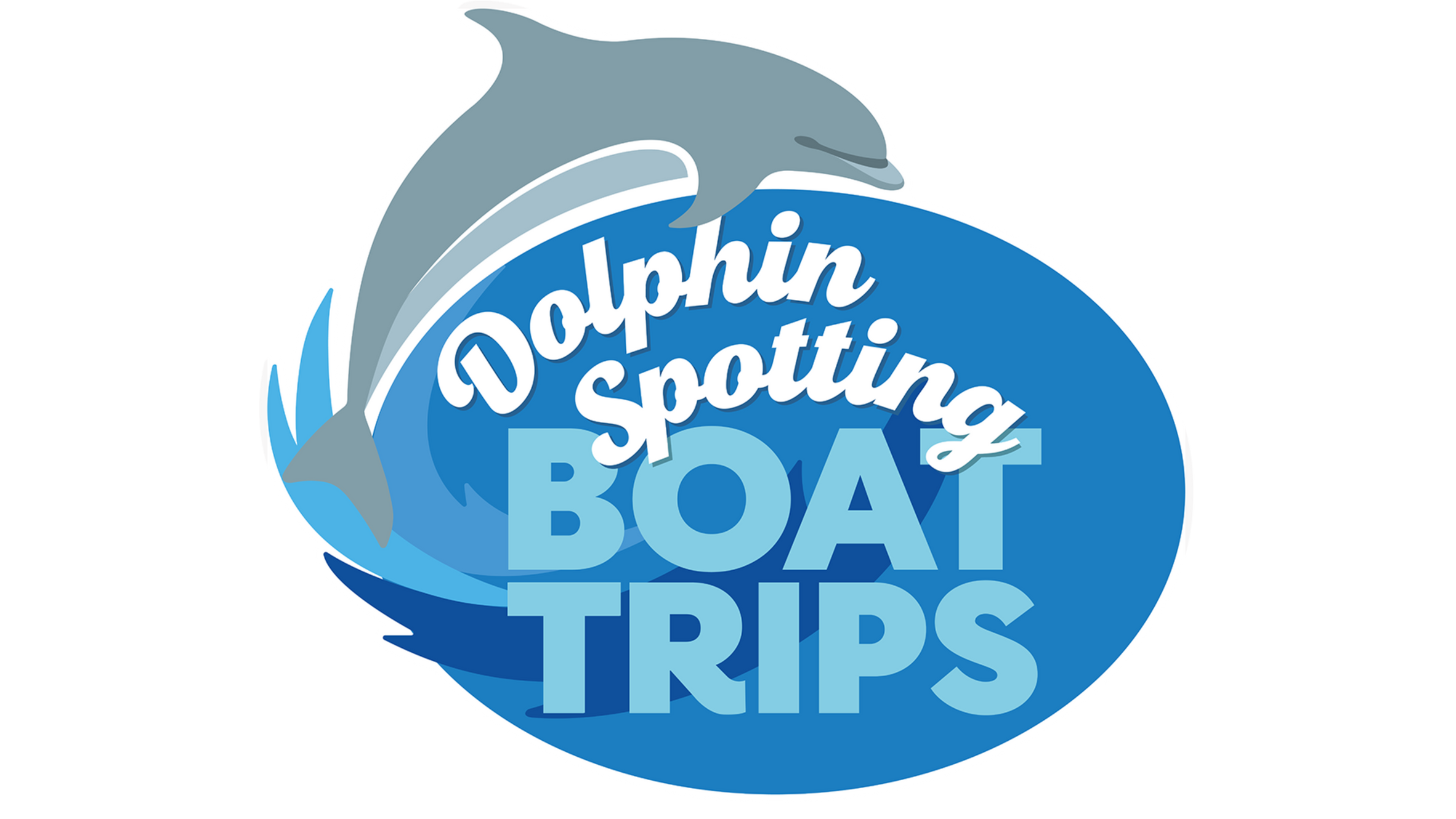New Quay Boat Trips hero