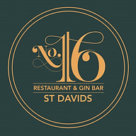 No.16 St Davids logo