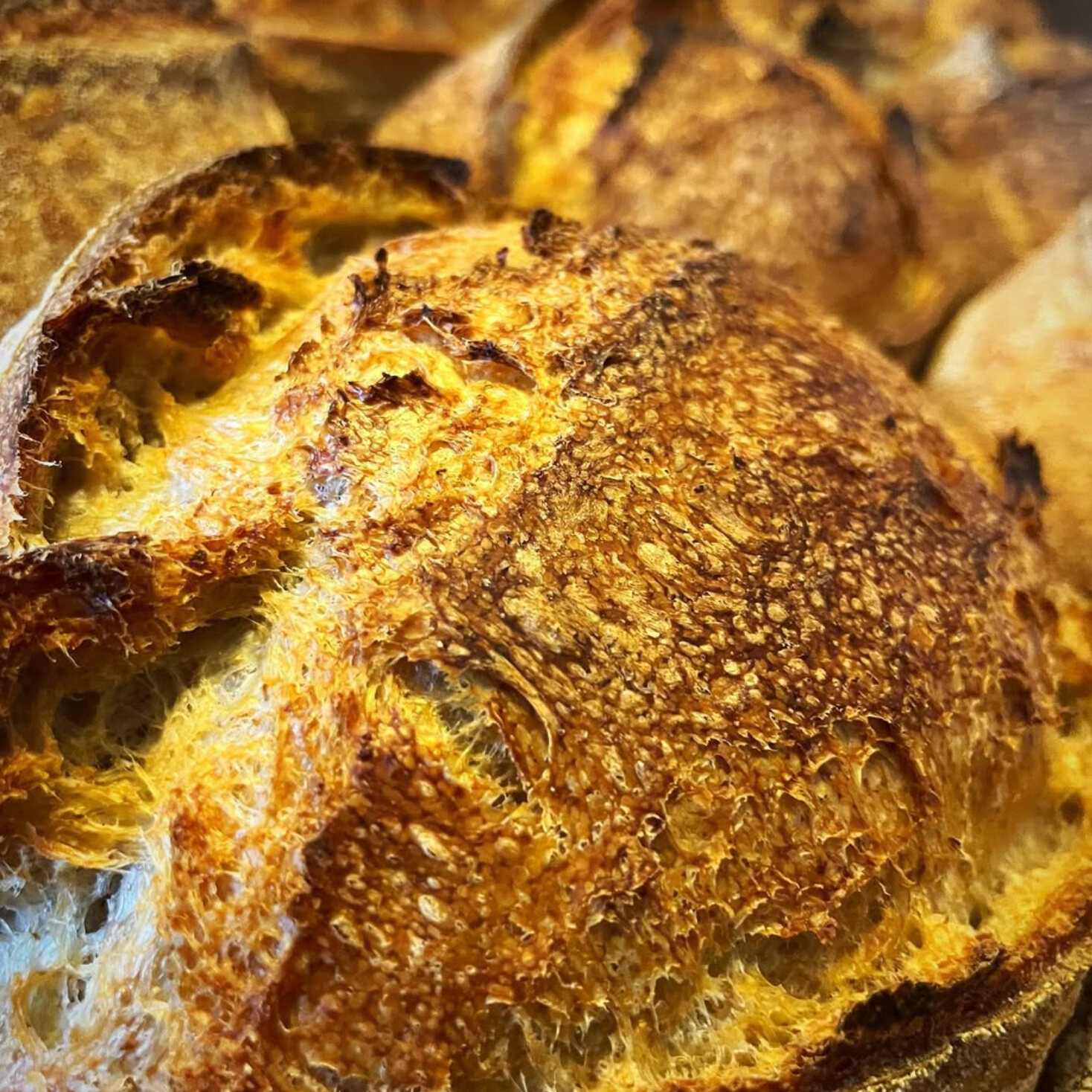 Rock 'n' Dough Bakehouse in Narberth