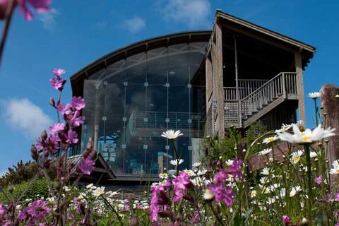 Welsh Wildlife Centre feature