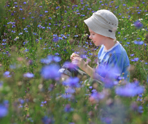 A child exploring a wildflower meadow